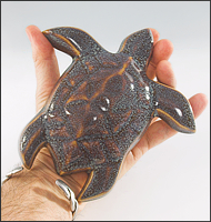 Image of Baby Sea Turtle sculpture in starfield blue glaze, seen from above held in DMH's hand, facing to the viewers upper right.